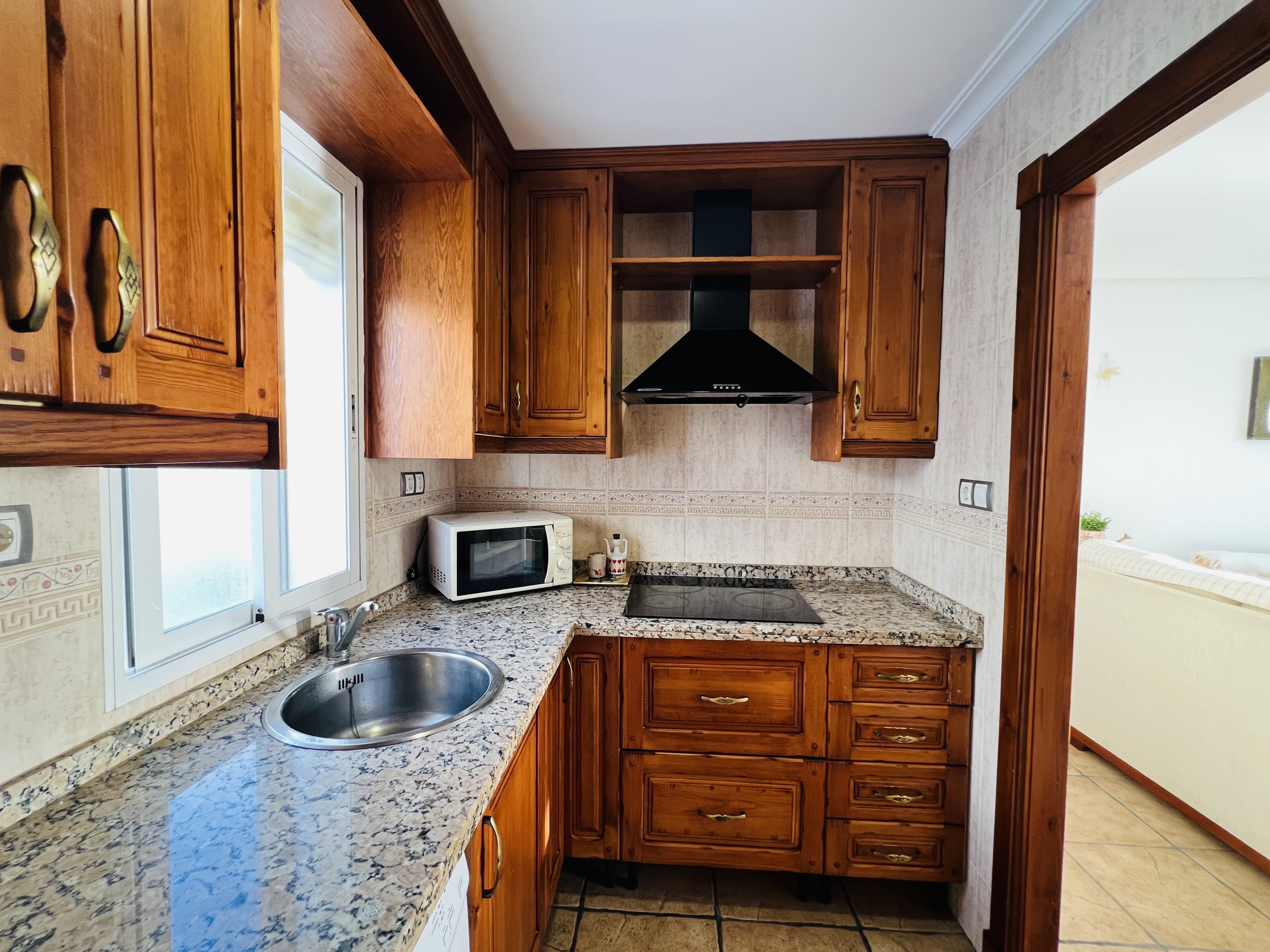 APARTAMENTO CON VISTAS AL MAR EN SALOBREA